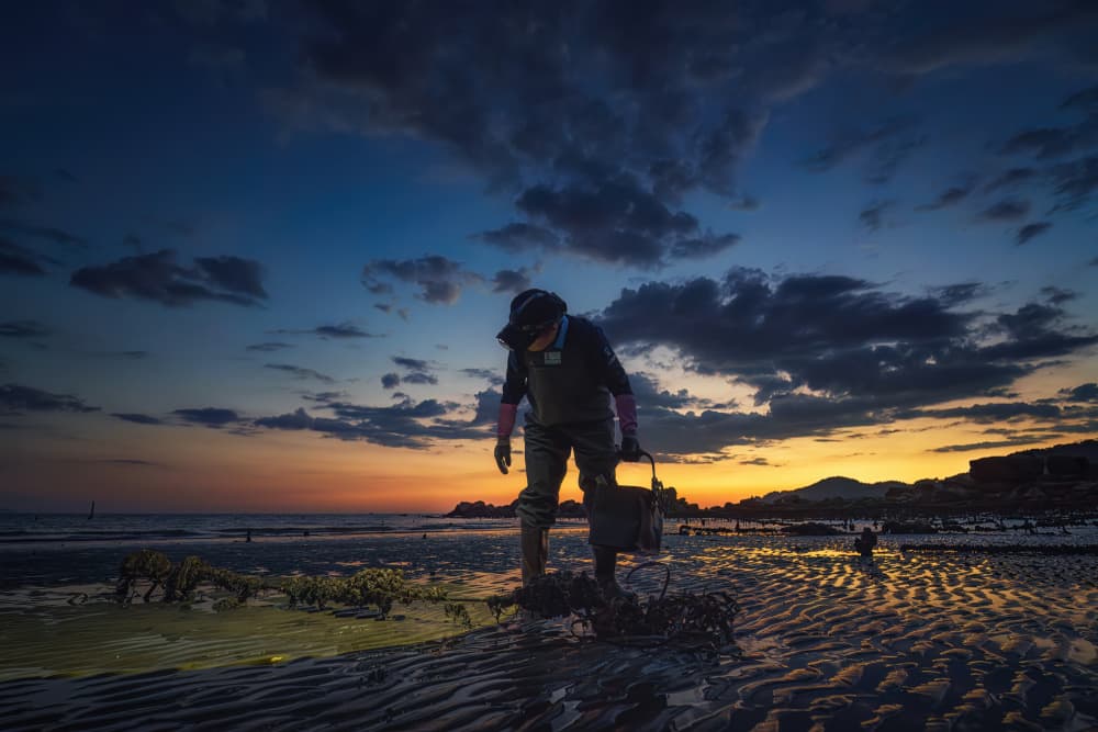 Twilight Beach Forager by Tiger Seo — canvas wall art