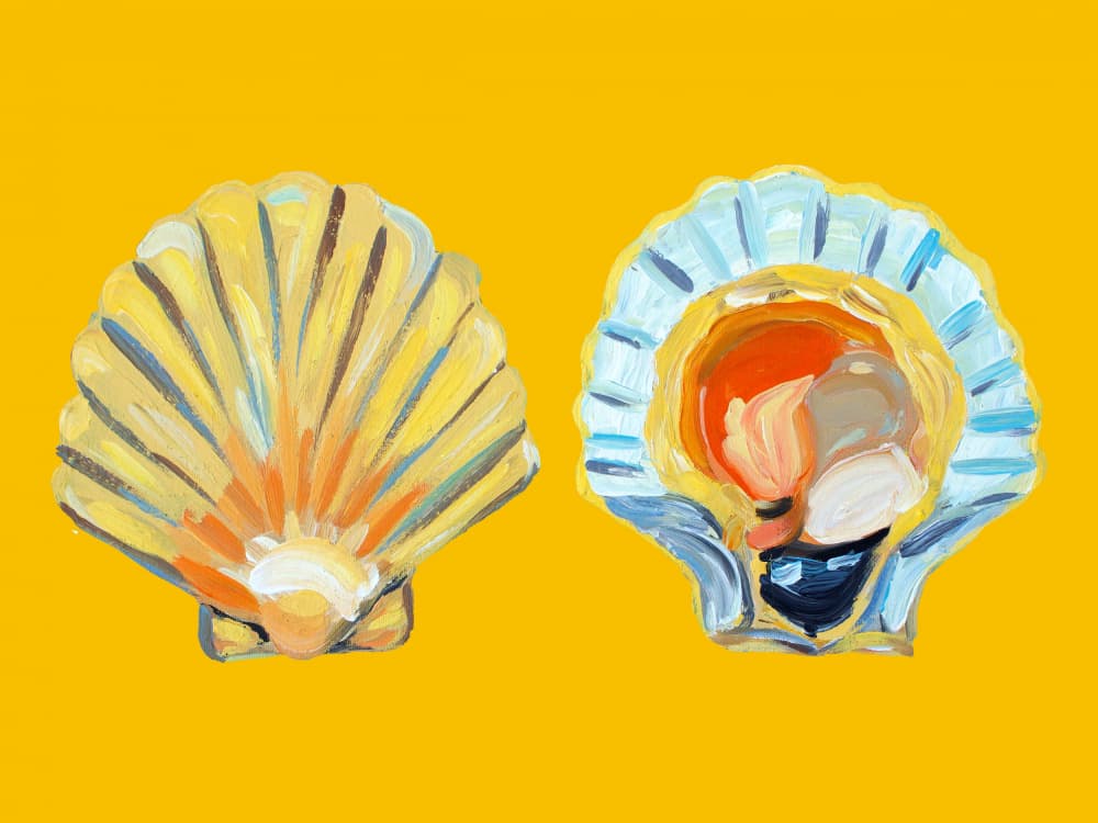 Golden Scallop Shells by Alice Straker — canvas wall art