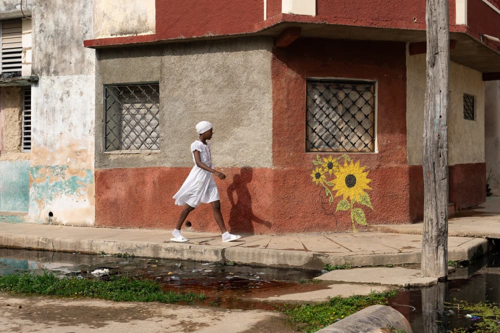 Girl Walks Sunflower Street by Andy Bauer — canvas wall art