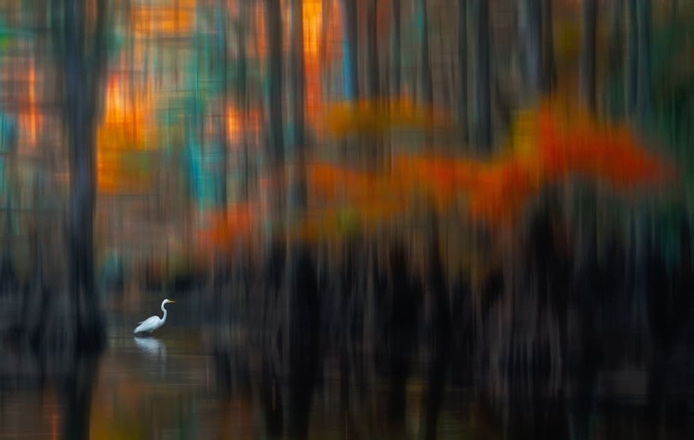 Abstract Egret Autumn Waters by Catherine Wang — canvas wall art
