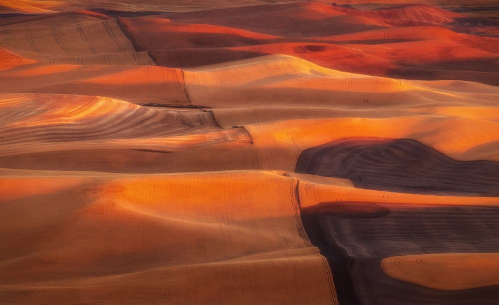 Golden Rolling Fields by James Lu — canvas wall art
