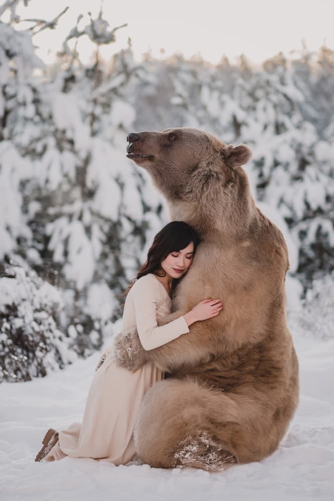 Winter Bear Hug by Olga Barantseva — canvas wall art