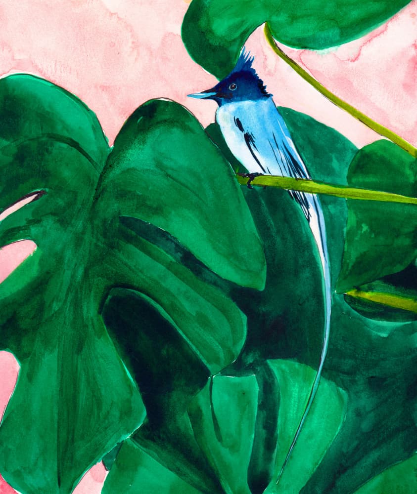 Tropical Bird Monstera Leaf by Christine Lindstrom — canvas wall art