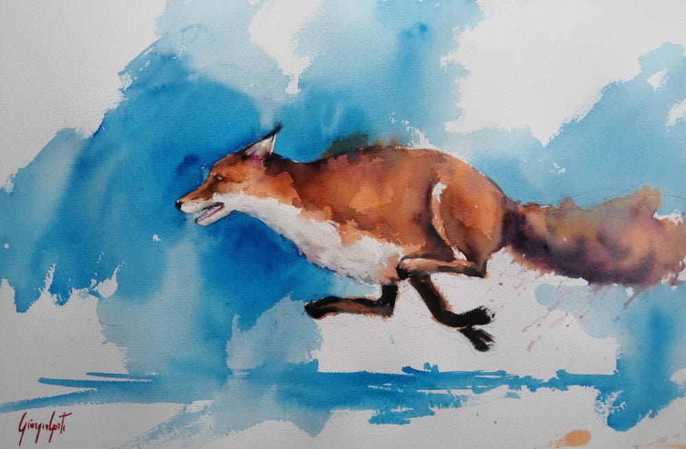 Swift Fox Sprint by Giorgio Gosti — canvas wall art