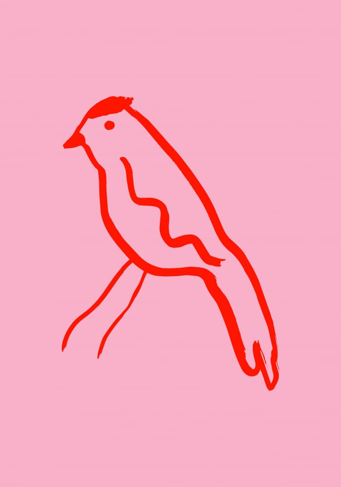 Red Cardinal Pink Sketch by Studio JKN — canvas wall art
