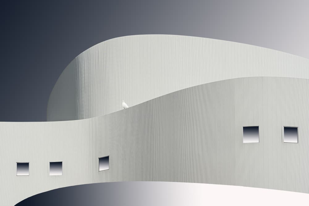 Bird On White Curve by fotomarion — canvas wall art