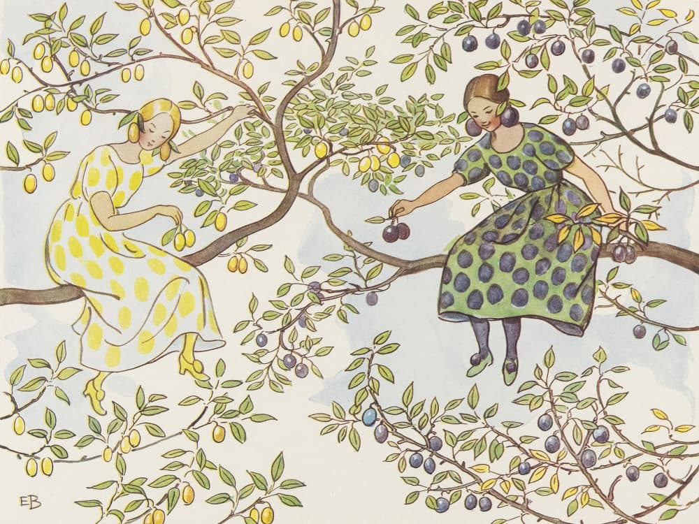 Fröknarna Plommon by Elsa Beskow — canvas wall art