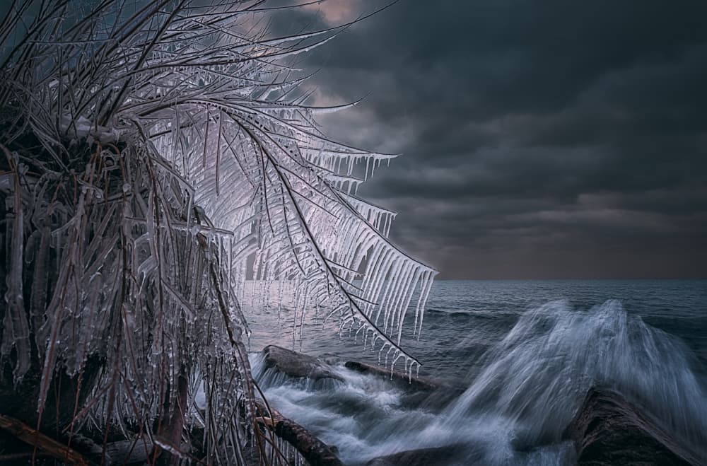 Icy Branches Ocean Waves by Ben.C.L — canvas wall art