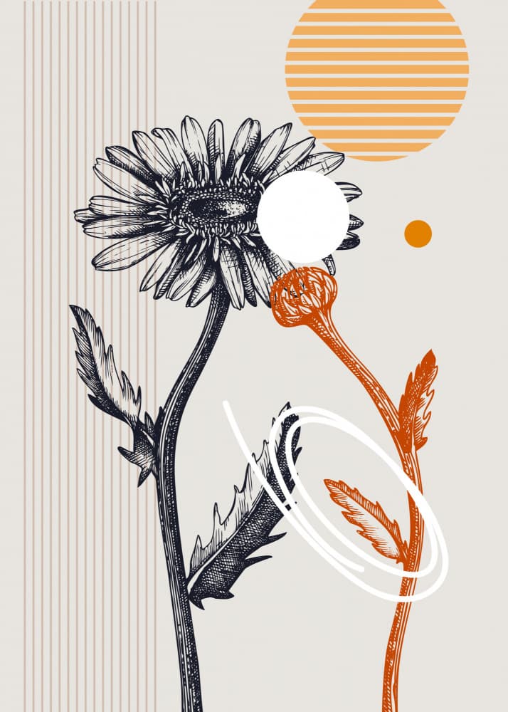 Orange Botanical Sketch by Yevheniia Lytvynovych — canvas wall art