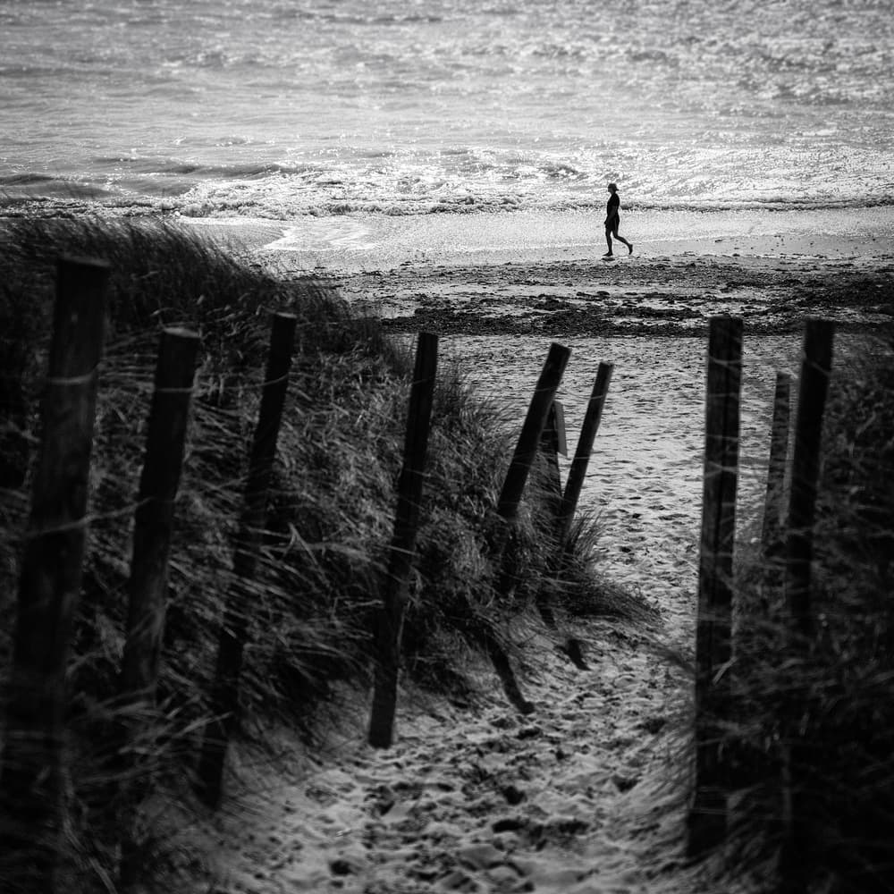 Coastal Path Walker by Luc Vangindertael (laGrange) — canvas wall art