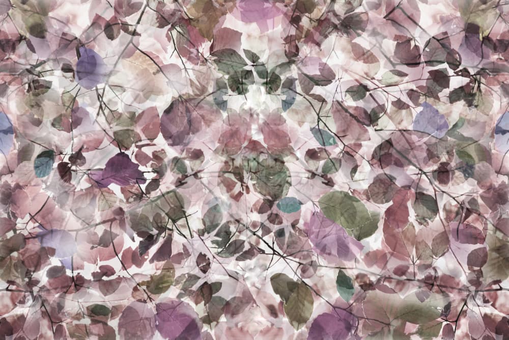 Muted Botanical Leaves by Christina Sillen — canvas wall art