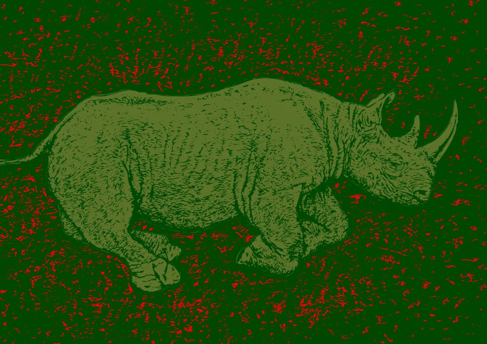 Wild Rhino Charge by Carlo Kaminski — canvas wall art