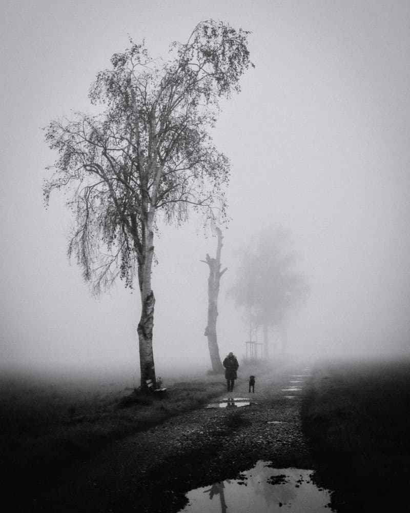 Foggy Path With Dog Walker by Renate Wasinger — canvas wall art
