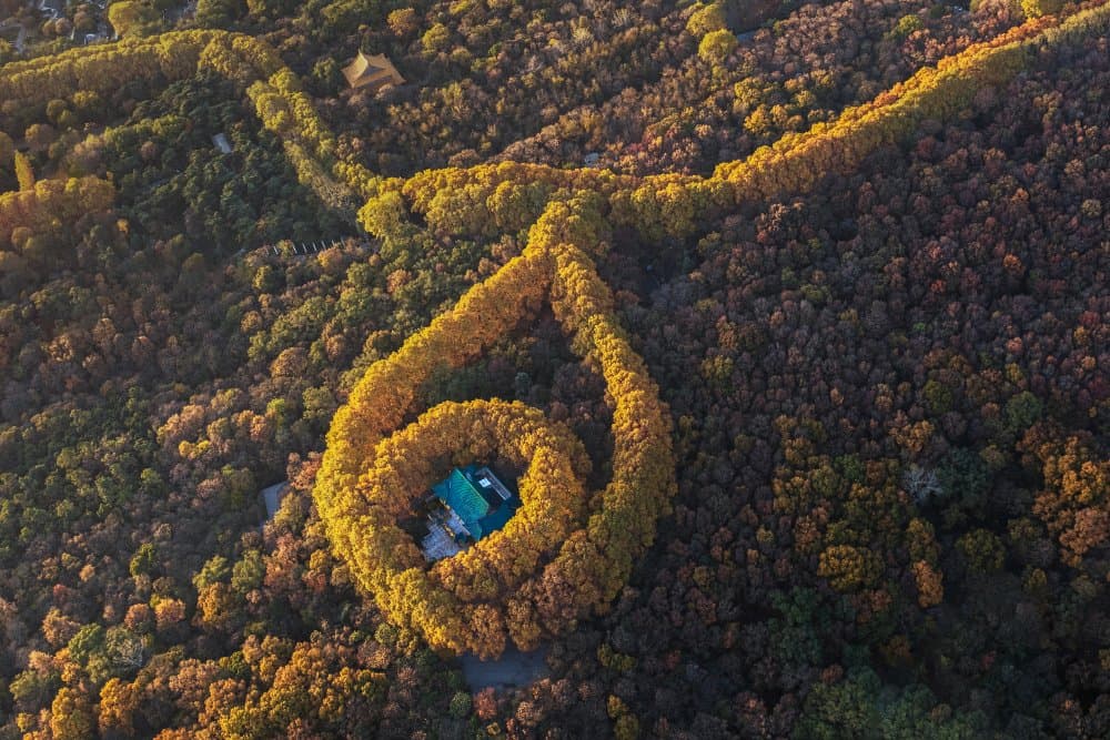 Autumn Spiral Forest House by UU — canvas wall art
