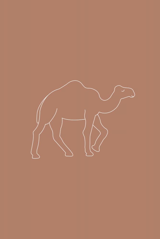 Minimalist Camel Walk by Karen Menzenbach — canvas wall art