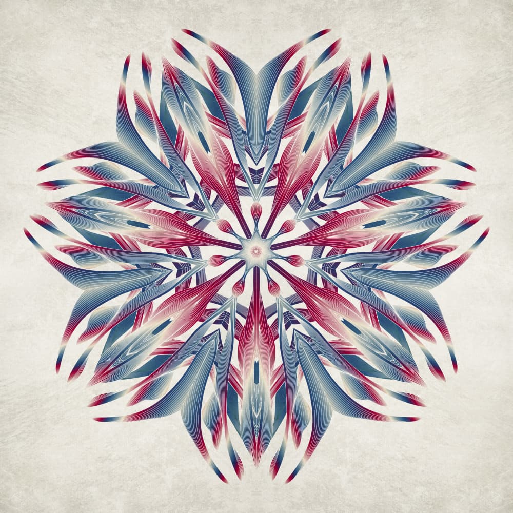 Abstract Floral Mandala by Angelo Cerantola — canvas wall art