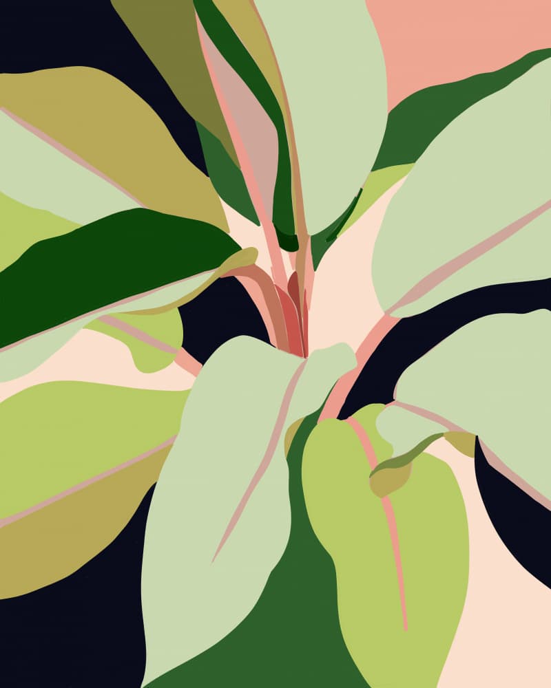 Modern Botanical Pink by Uma Gokhale — canvas wall art