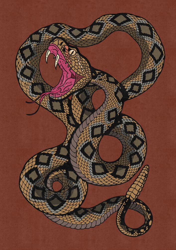 Striking Rattlesnake by Nicholas — canvas wall art