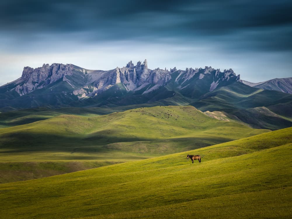 Lone Horse Green Mountains by Irene Wu — canvas wall art
