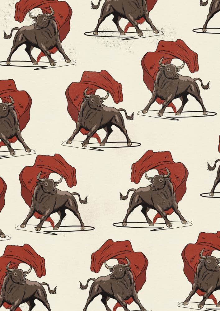 Spanish Bullfight Pattern by Nicholas — canvas wall art