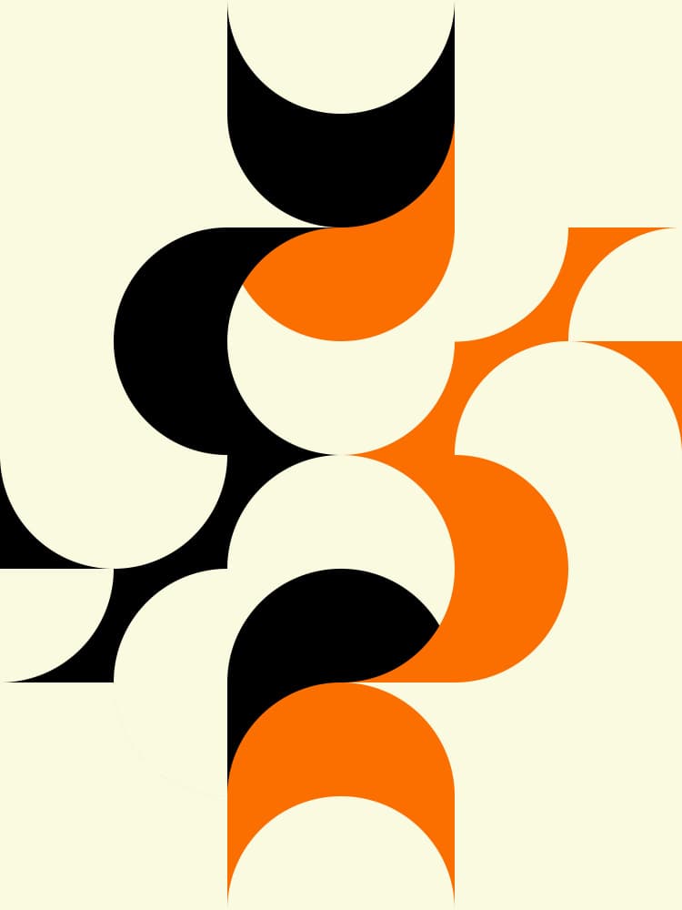 Interlocking Abstract Curves by Petr Strnad — canvas wall art