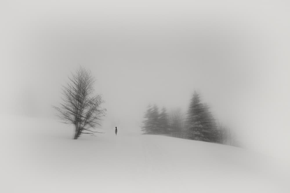 Misty Winter Solitude by Marchevca Bogdan — canvas wall art