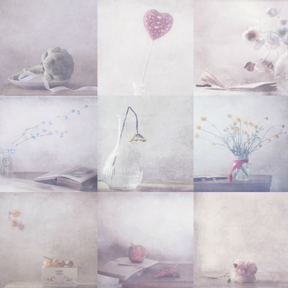 Soft Pastel Still Life by Delphine Devos — canvas wall art