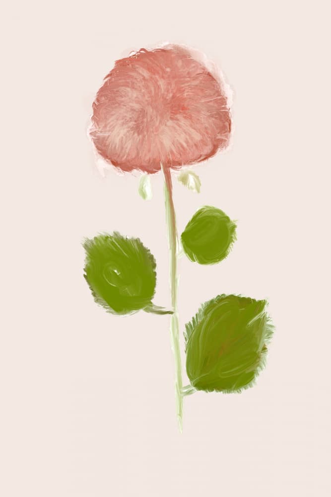Soft Pink Bloom by casa cartissi — canvas wall art