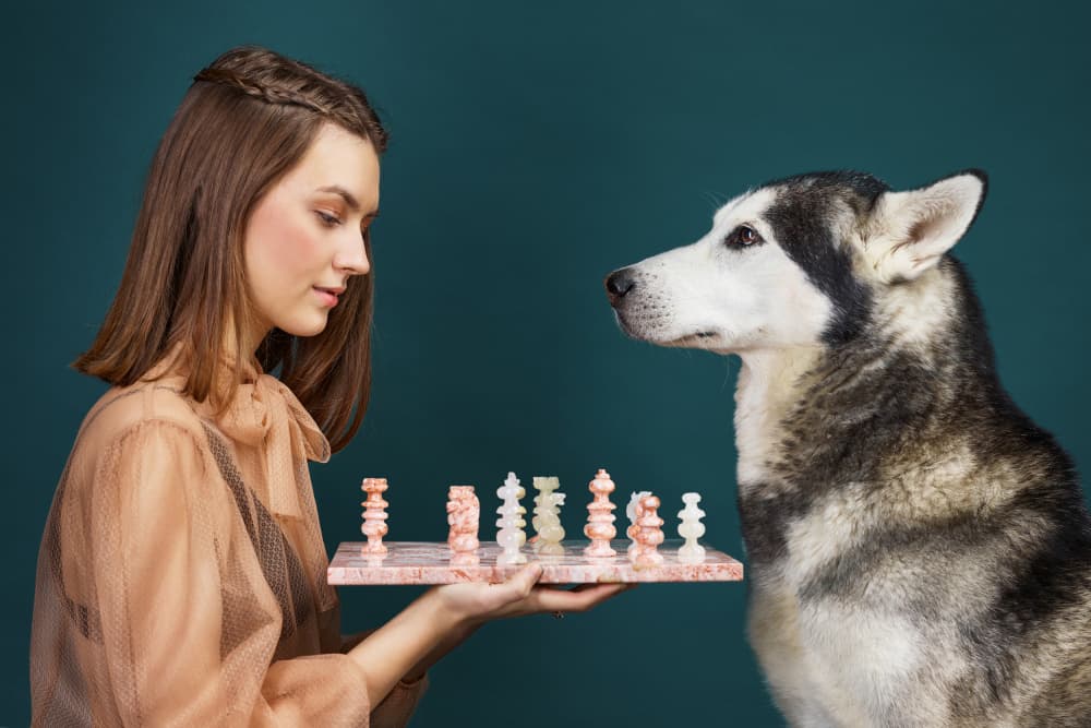 Strategic Chess Companions by Michael Allmaier — canvas wall art