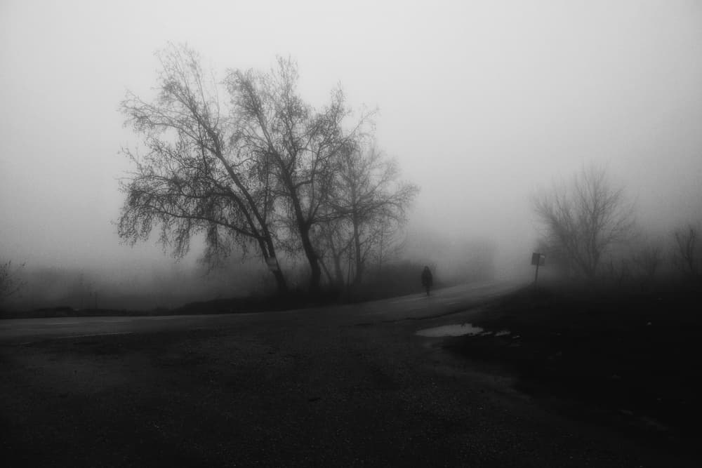 Lonely Figure In Fog by Ali Ayer — canvas wall art