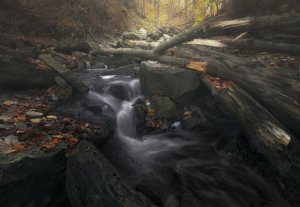 Misty Autumn Stream by Larry Deng APA — canvas wall art