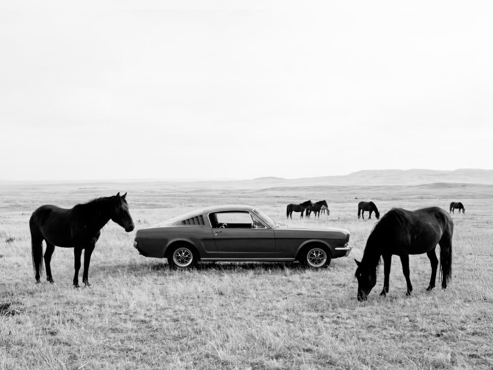 Wild Plains BW by Kathrin Pienaar — canvas wall art