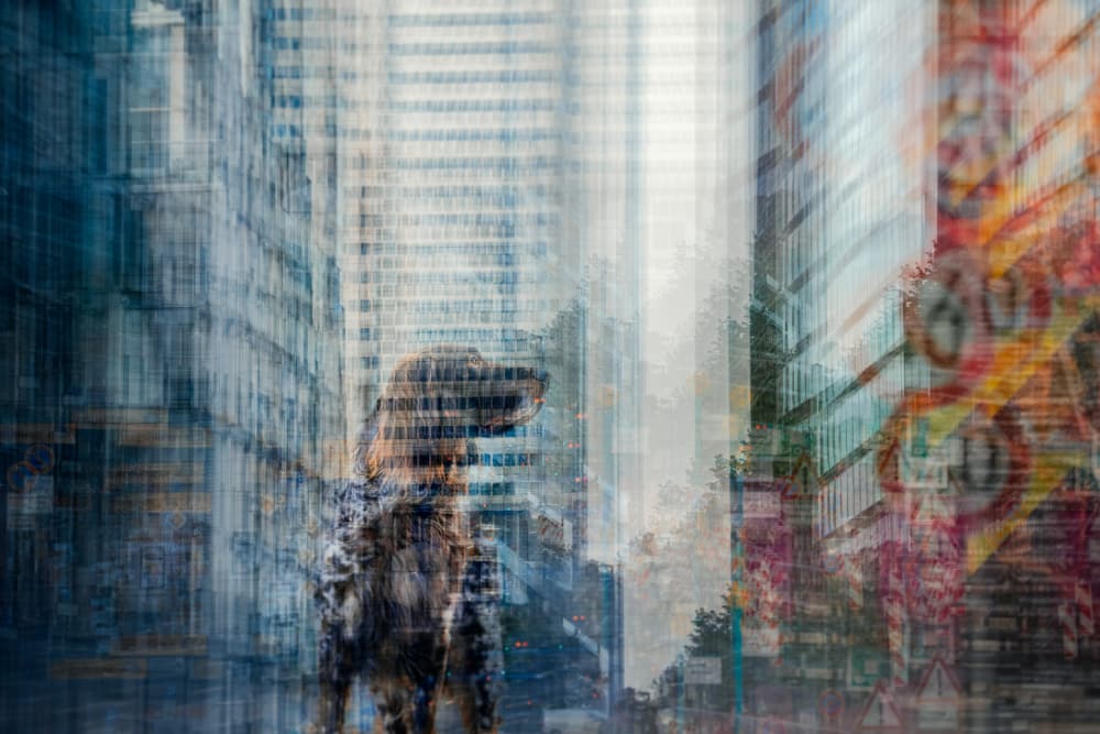 Urban Dog Dreams by Heike Willers — canvas wall art