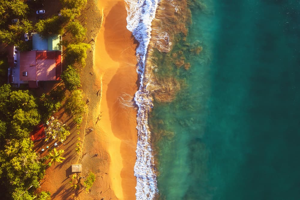 Vibrant Tropical Beach Aerial by Jean Claude Castor — canvas wall art