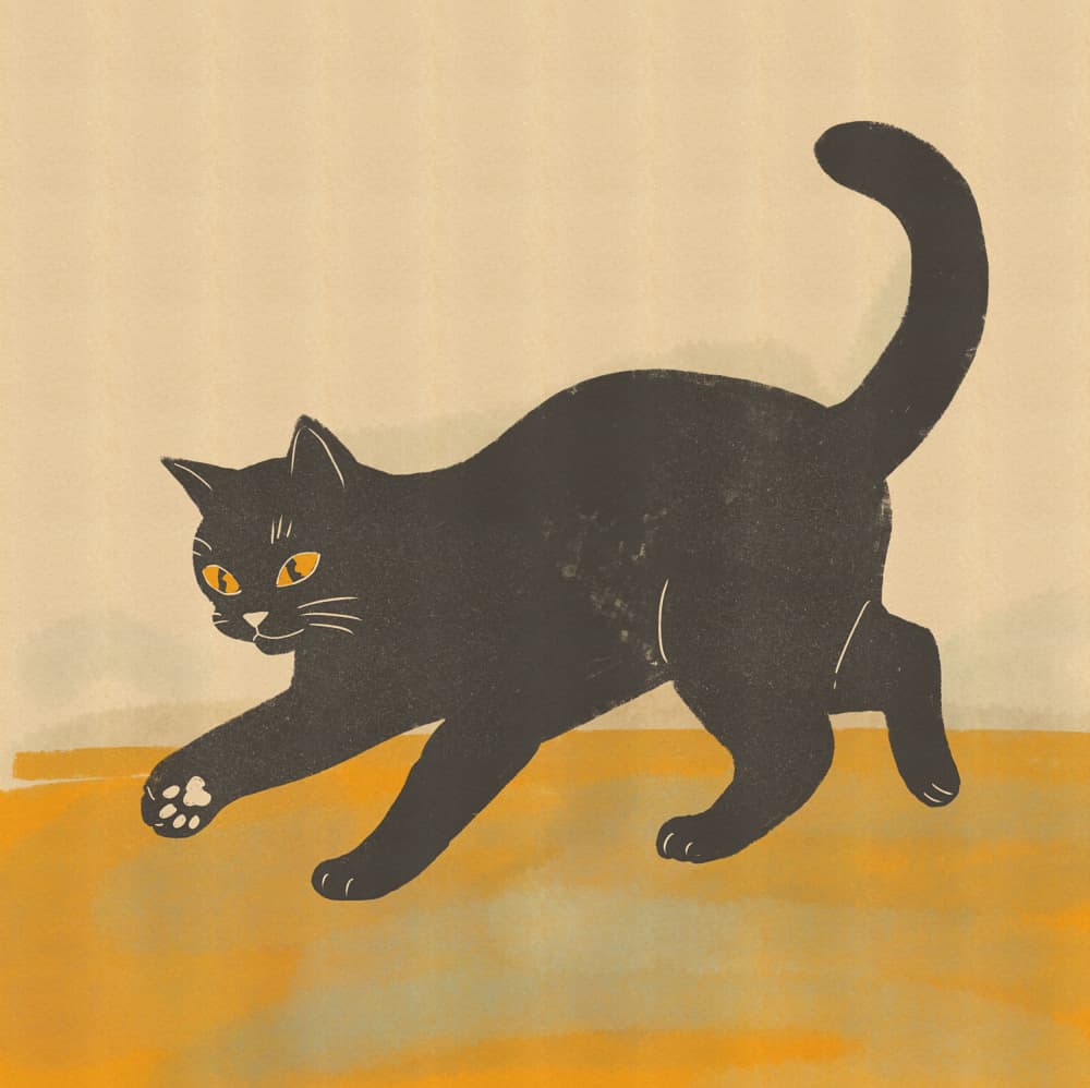 Black Cat Pounce by Nicholas — canvas wall art