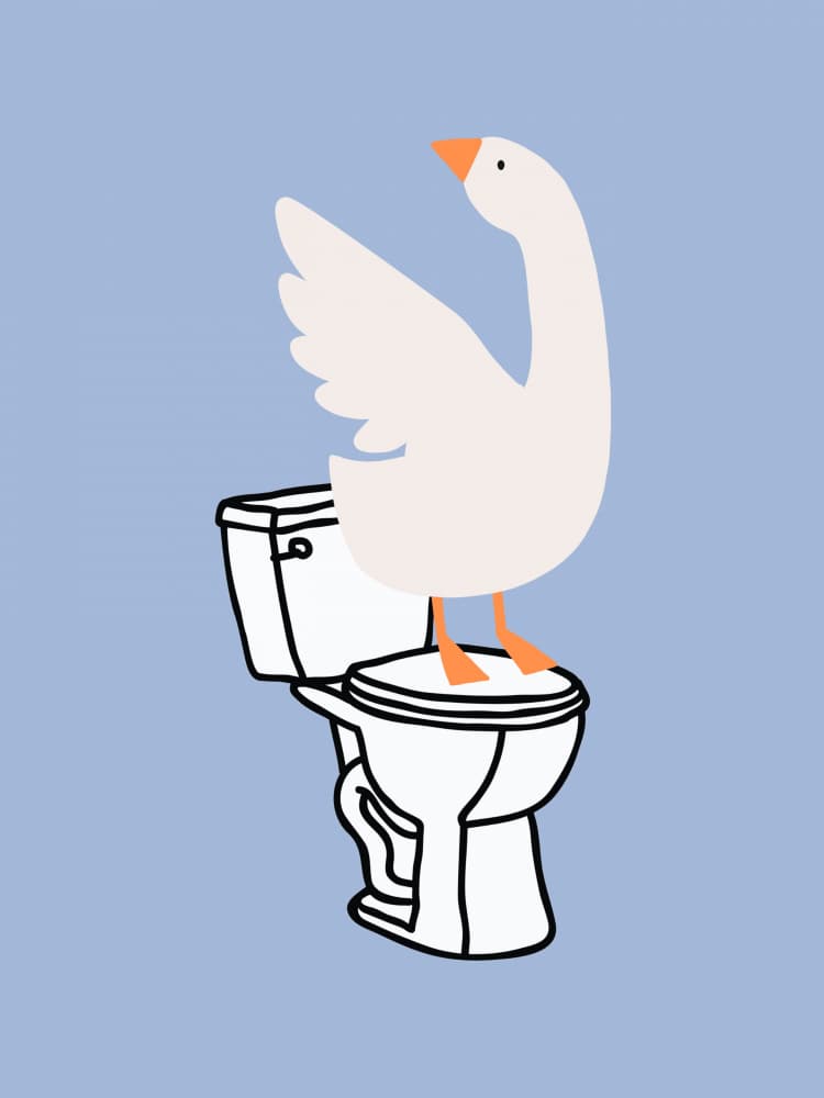 Silly Goose on Toilet by Jolly and Dash — canvas wall art
