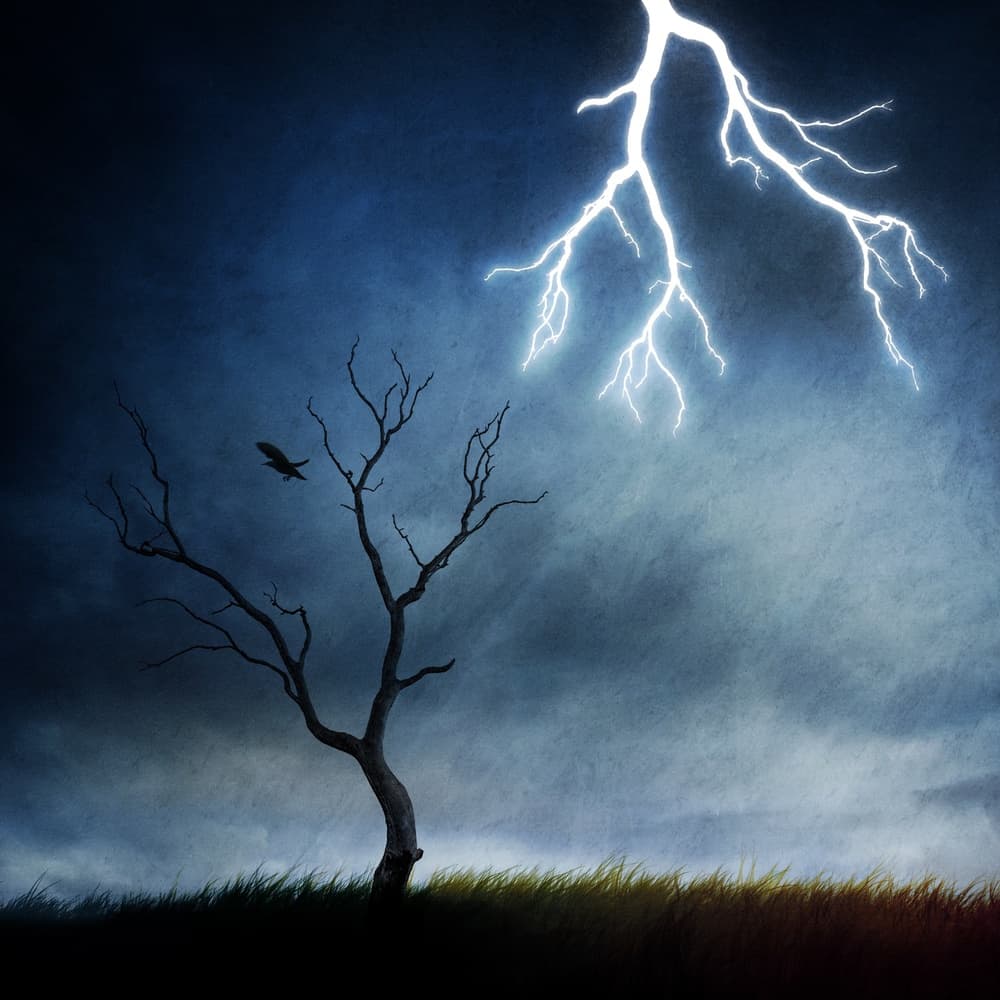Lightning Over Lone Tree by Sebastien DEL GROSSO — canvas wall art