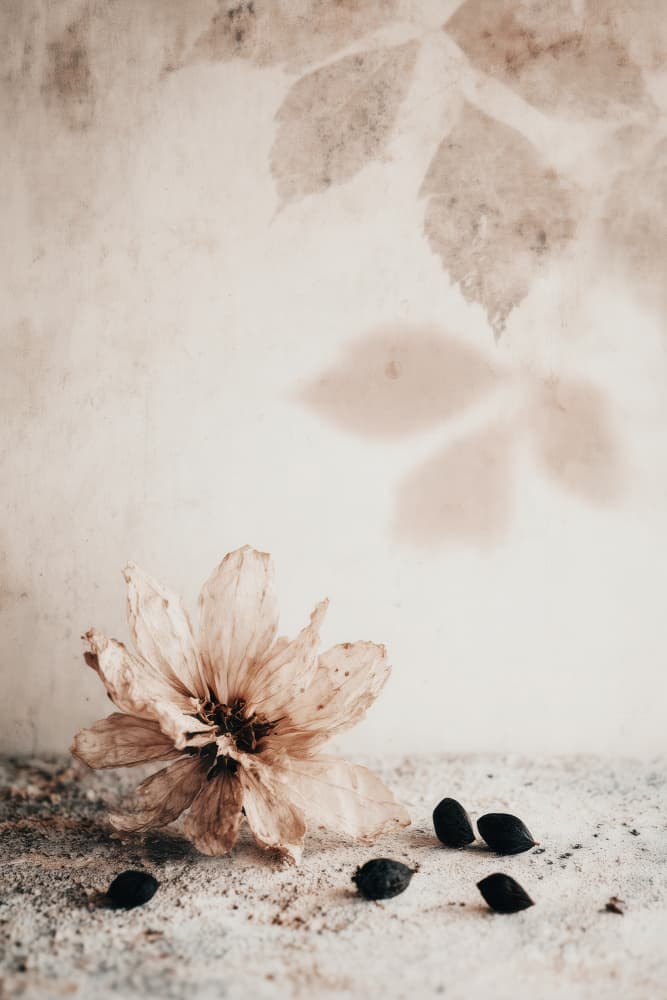 Muted moments no 12 by Treechild — canvas wall art