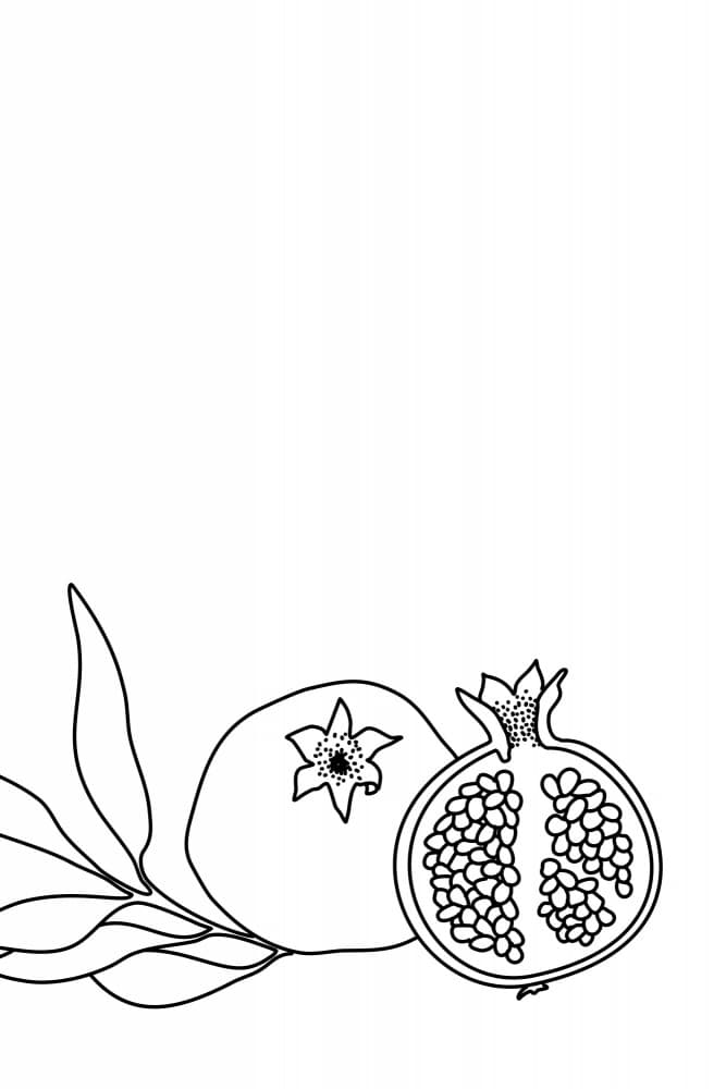 Fresh Pomegranate Drawing by Rosana Laiz Blursbyai — canvas wall art