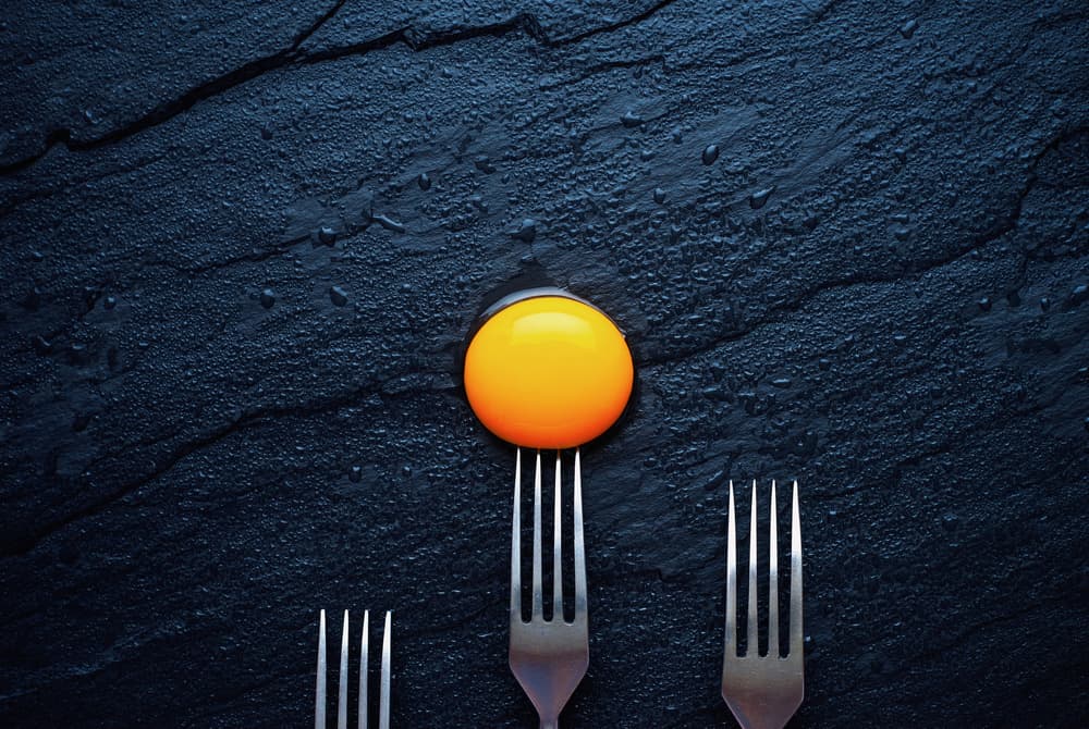 Vibrant Egg Yolk Forks by Karina Aleksandrova — canvas wall art