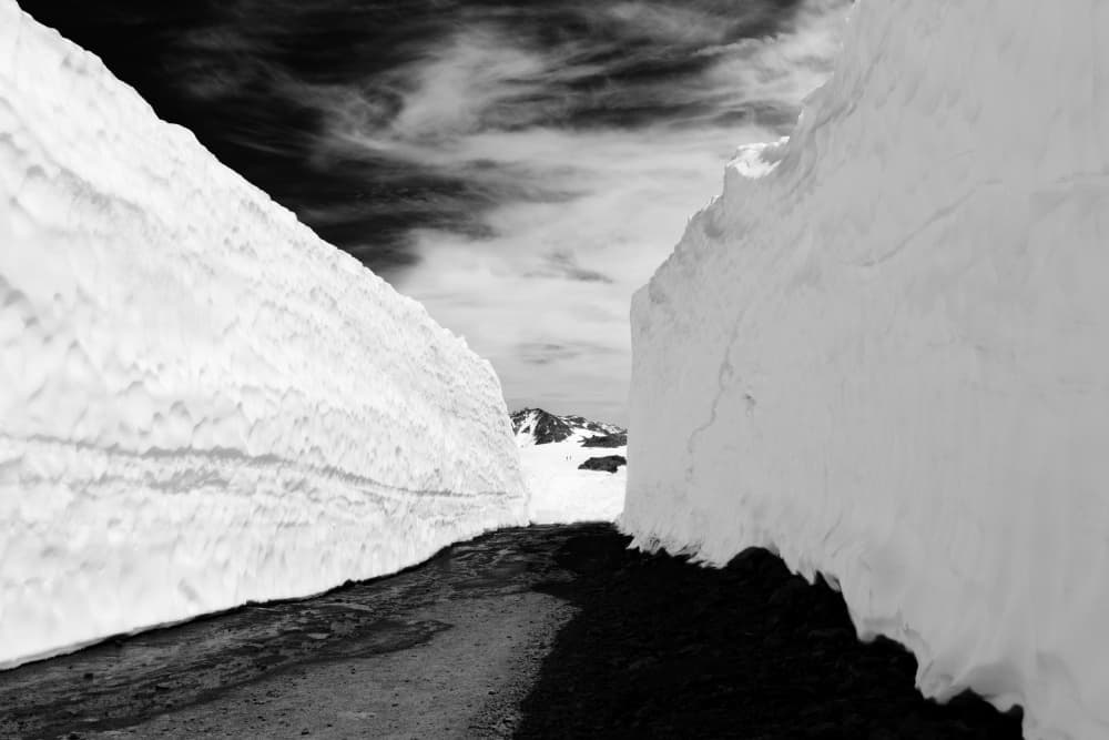 Majestic Snow Canyon by Lynann Colligan — canvas wall art