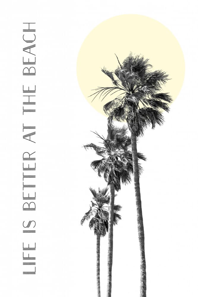 Beach Life Sunny Palms by Melanie Viola — canvas wall art
