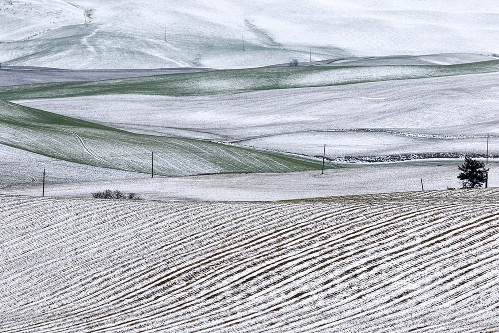 Rolling Snowy Fields by Massimo Della Latta — canvas wall art