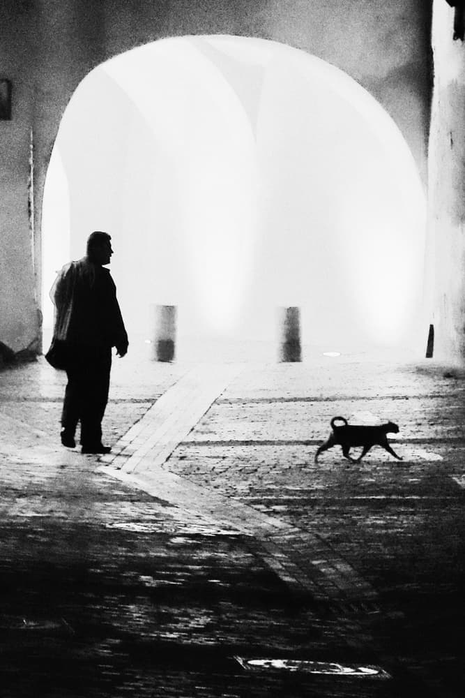 Solitary Man Dog Archway by Marchevca Bogdan — canvas wall art