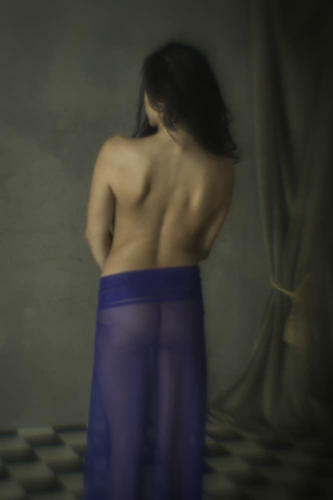 Sheer Purple Elegance by Mel Brackstone — canvas wall art