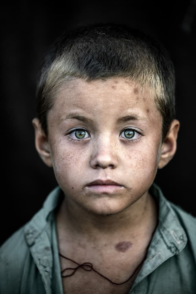 Striking Green Eyes by Trevor Cole — canvas wall art