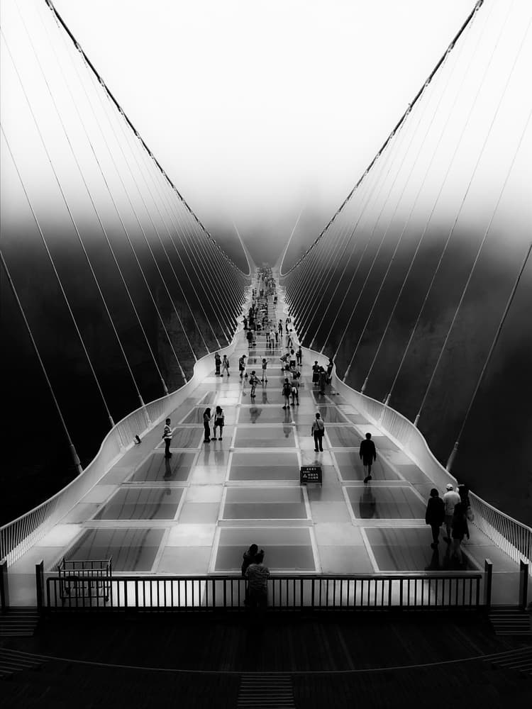 Foggy Glass Bridge Walk by Olavo Azevedo — canvas wall art
