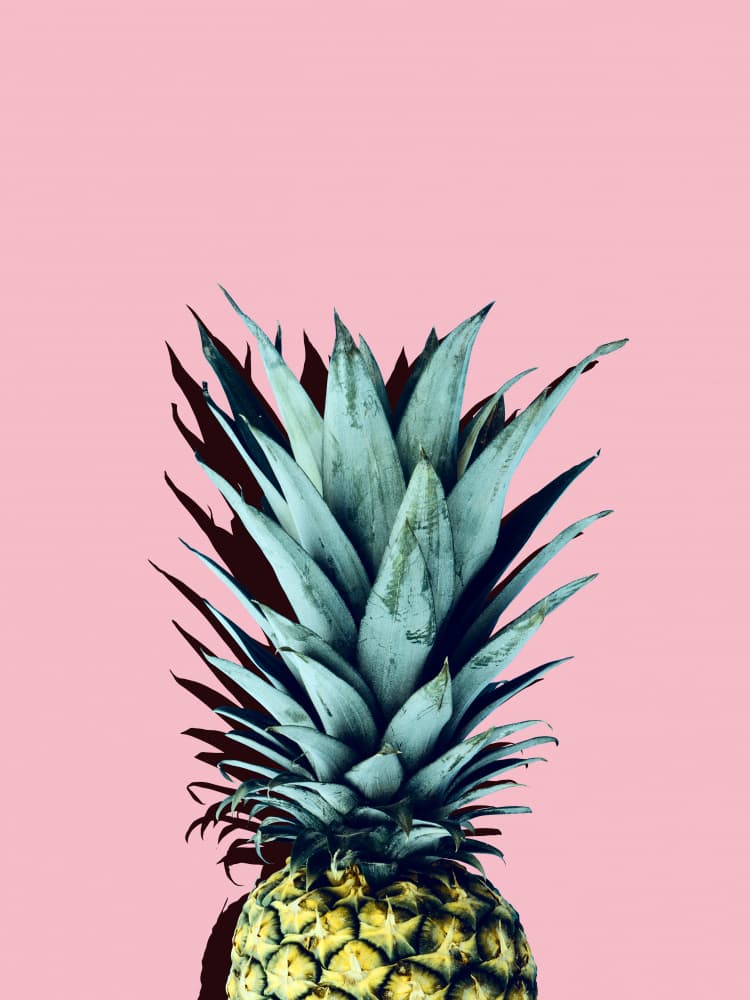 Pink Pineapple Pop by Vitor Costa — canvas wall art