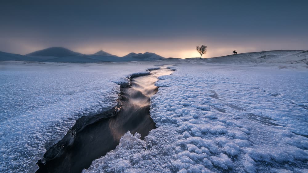 Snowy River Horseman by Bingo Z — canvas wall art
