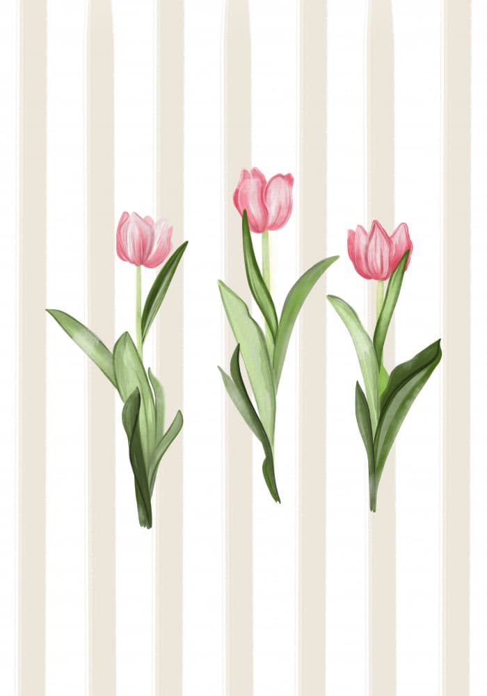 Gentle Pink Tulips by Lisen Vennesland — canvas wall art